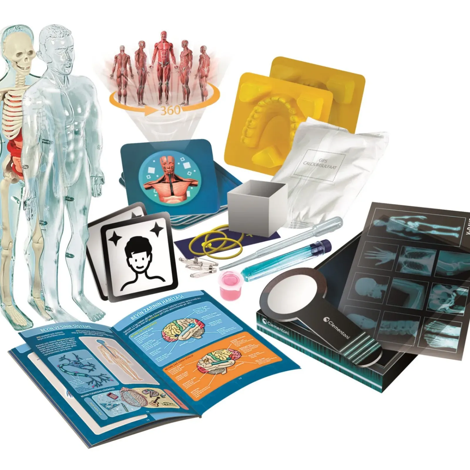 Best Ciência & Jogo Super Anatomia Clementoni
