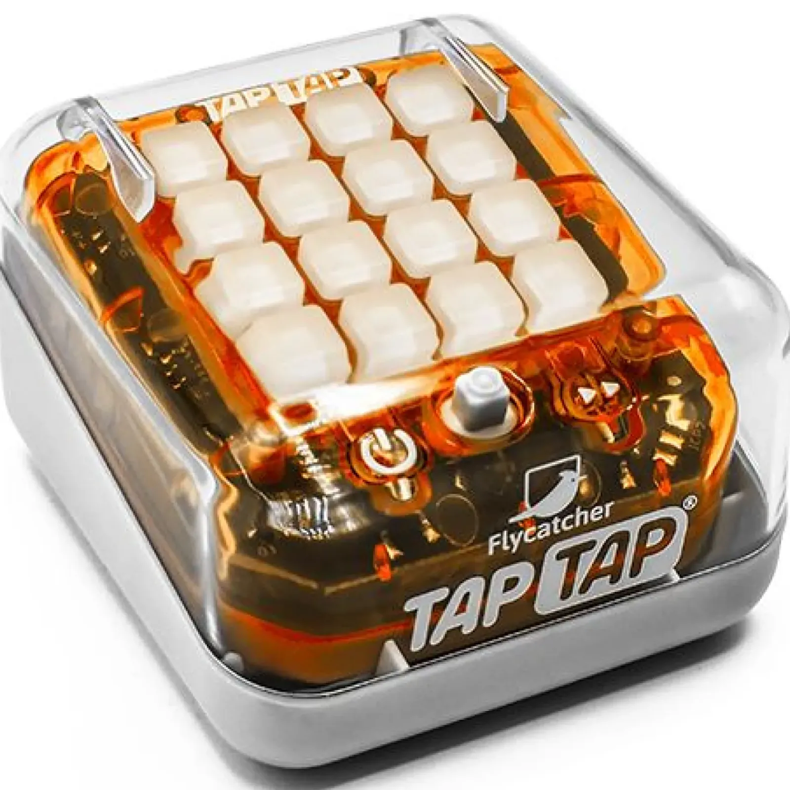 Bandai Didáticos > Tap Tap