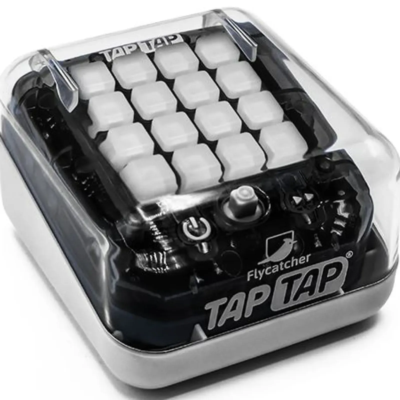 Bandai Didáticos > Tap Tap