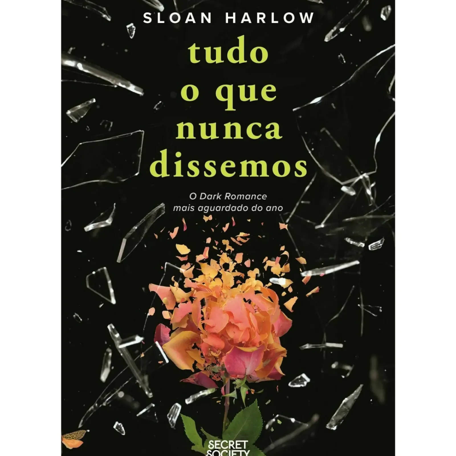 Secret Society Young Adult > Tudo o que Nunca Dissemos de Sloan Harlow