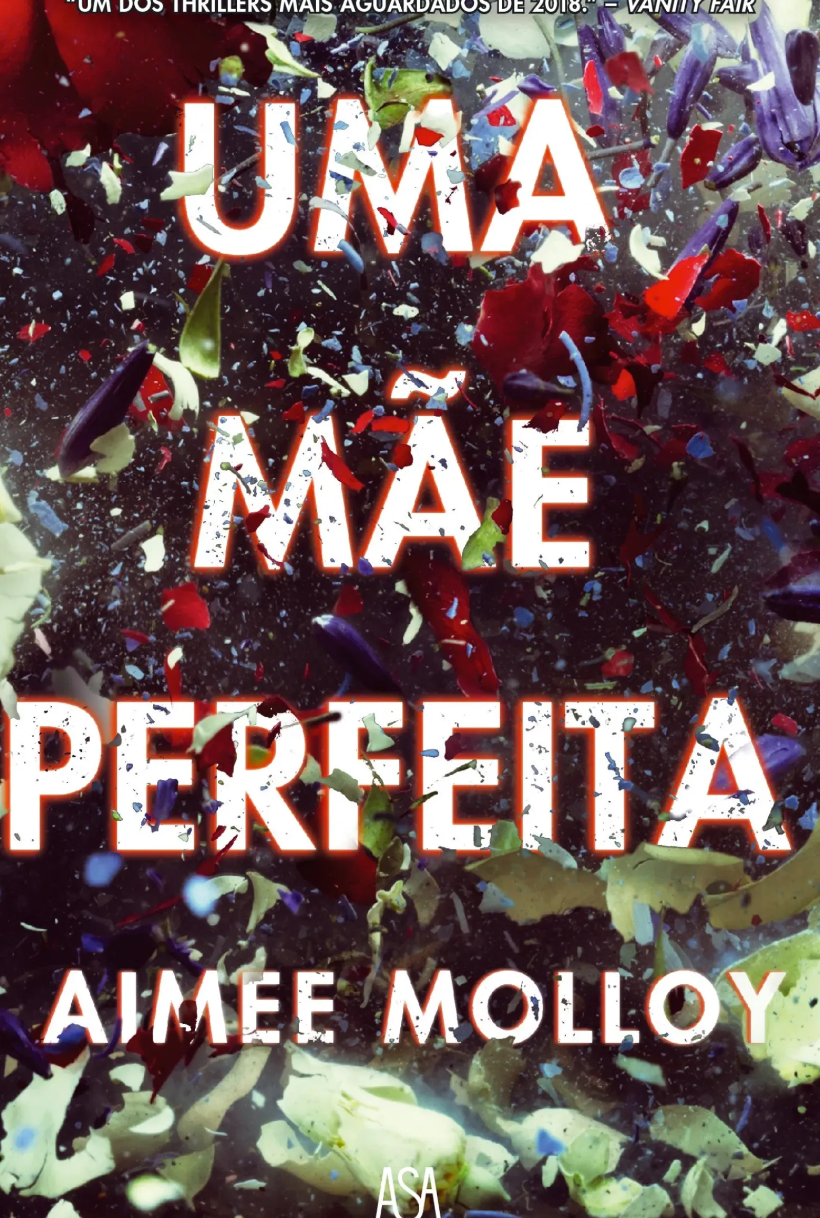Edições Asa Policial > Uma Mãe Perfeita de Aimee Molloy