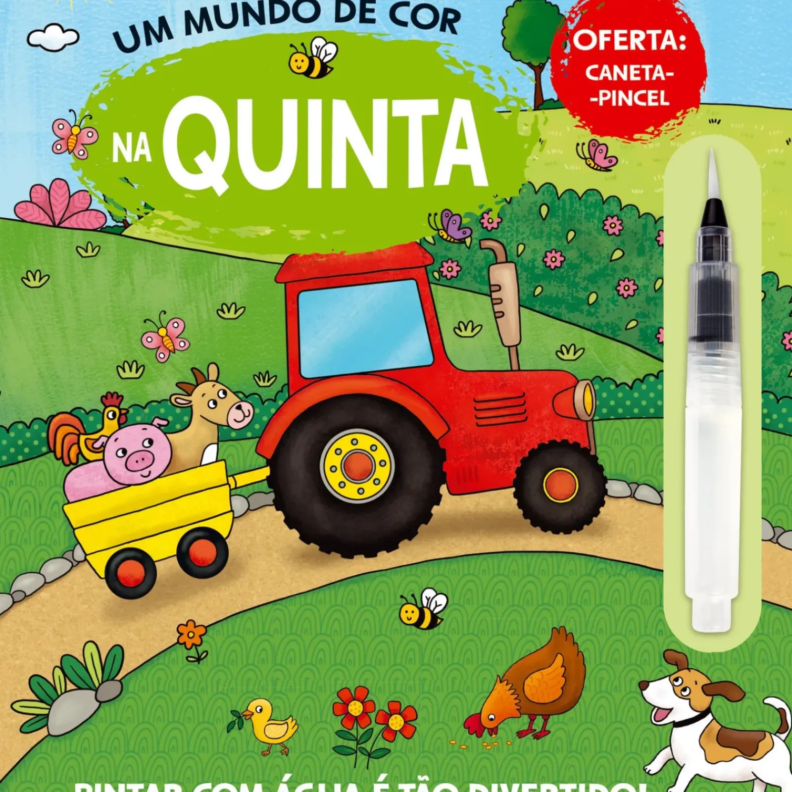 Joybooks Atividades > Um Mundo de Cor - na Quinta