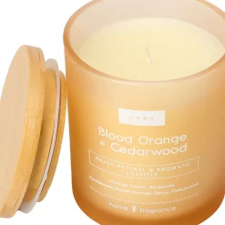 Outlet Kasa Vela Copo Laranja Tampa Madeira