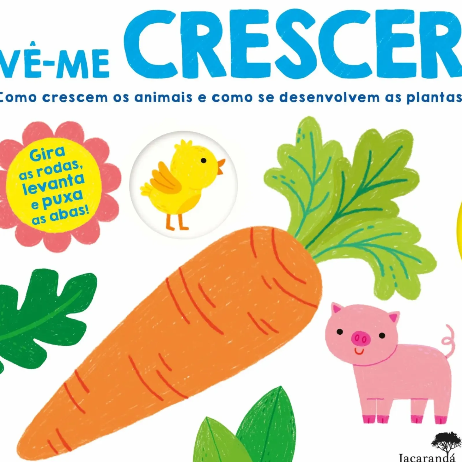 Hot Jacarandá Vê-me Crescer de Roger Priddy