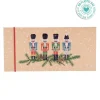 Discount Artebene Voucher Com Envelope - Quebra-Nozes